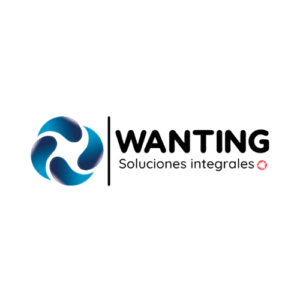 Wanting soluciones